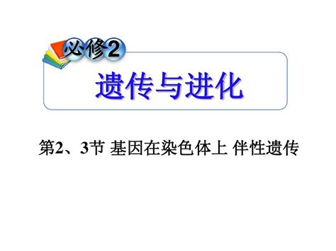 师用 一轮复习第2、3节 基因在染色体上 伴性遗传 Word文档在线阅读与下载 无忧文档