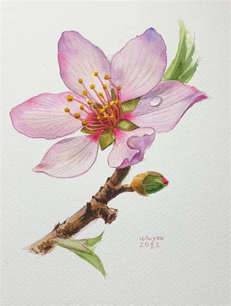 Pin By Sirinan Gannigathananon On Any Watercolor Flower Art Flower