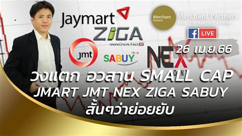 วงแตก อวสาน Small Cap JMART JMT NEX ZIGA SABUY สนๆวายอยยบ YouTube