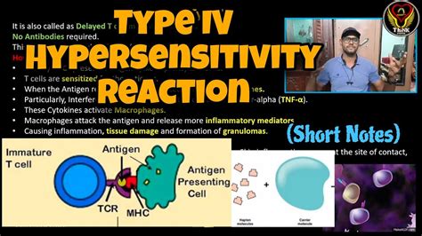 Type Iv Hypersensitivity Delayed T Cell Mediated Reaction Tamil