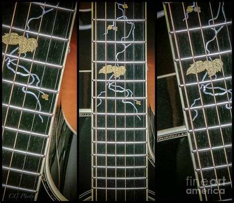 Takamine Fretboard Digital Art By Christopher Cutter Pixels