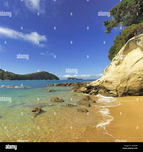 Coast In The Abel Tasman National Park New Zealand Southern Island