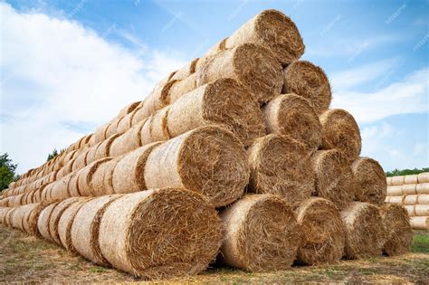 Premium Photo Bales Of Hay Hay Bales Are Stacked On The Field In