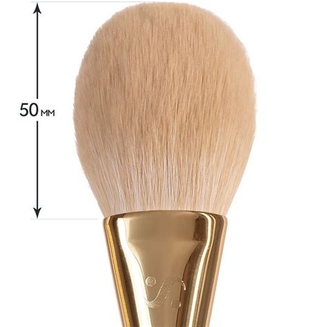 S Probrush Sinart Facial Brush Buy At The Best Price In Ukraine