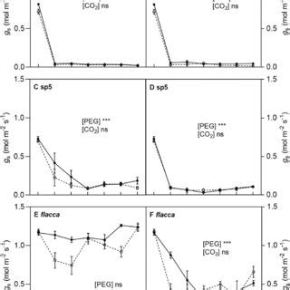 Stomatal Conductance G S Of AC A B Sp5 C D And Flacca E F