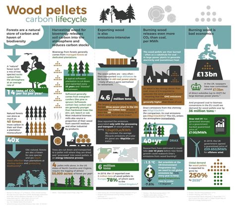 Bioenergy explained - Land and Climate Review