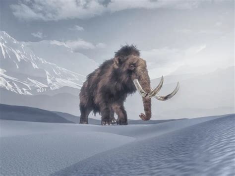 Real Life Jurassic Park Aims To Bring Woolly Mammoths Back To Life