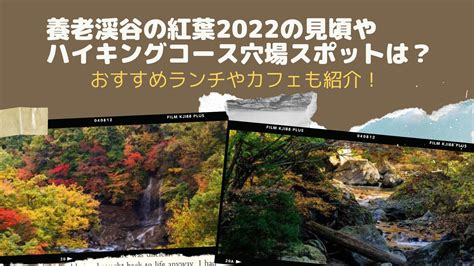 養老渓谷の紅葉2022の見頃やハイキングコース穴場スポットは？おすすめランチやカフェも 虹の玉手箱