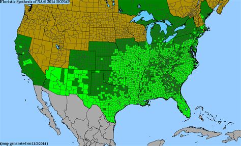 2013 BONAP North American Plant Atlas TaxonMaps