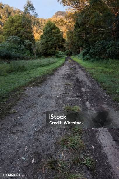 Worn Out Path In Forest Heading Towards Mountains And Trees Stock Photo