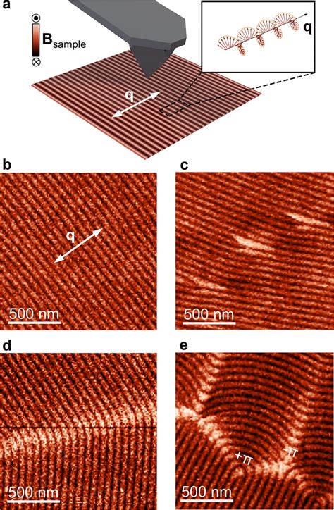 Mfm Imaging Of Helimagnetic Order Dislocations And Domain Walls A