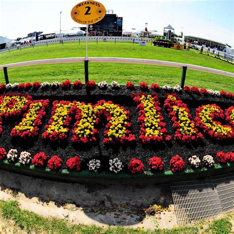 Preakness Infield 2013: Performers List, Daily Activities and ...