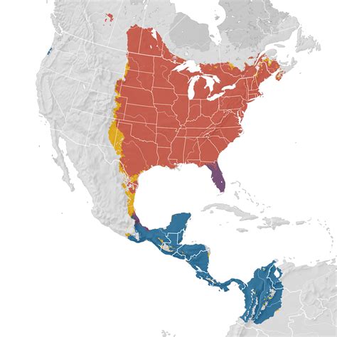 Great Crested Flycatcher Range Map Ebird Status And Trends