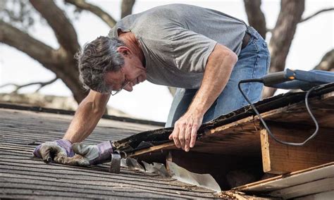 Tips For Avoiding Costly Home Repairs Memprize