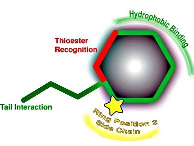 When Bacteria Attack! - ChemistryViews