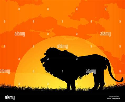 African sunset with lion silhouette Stock Vector Image & Art - Alamy