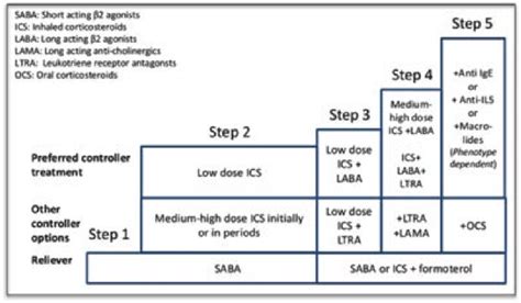 Treatment Steps According To Gina Guidelines On Asthma Download High