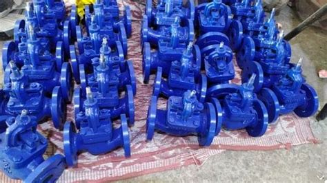 Api CAST IRON Globe Valve Nd 16 Nd 40 For Water At Rs 1000 In