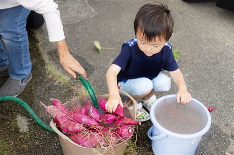 3歳児の発達過程と保育のポイントを解説｜保育士・幼稚園教諭のための情報メディア【ほいくis／ほいくいず】