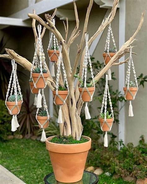 House Plants Decor Diy Plants Hanging Plants Plant Decor Macrame