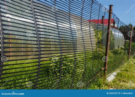 Mesh Fence in the Garden. Fence Made of Black Plastic Stock Photo ...