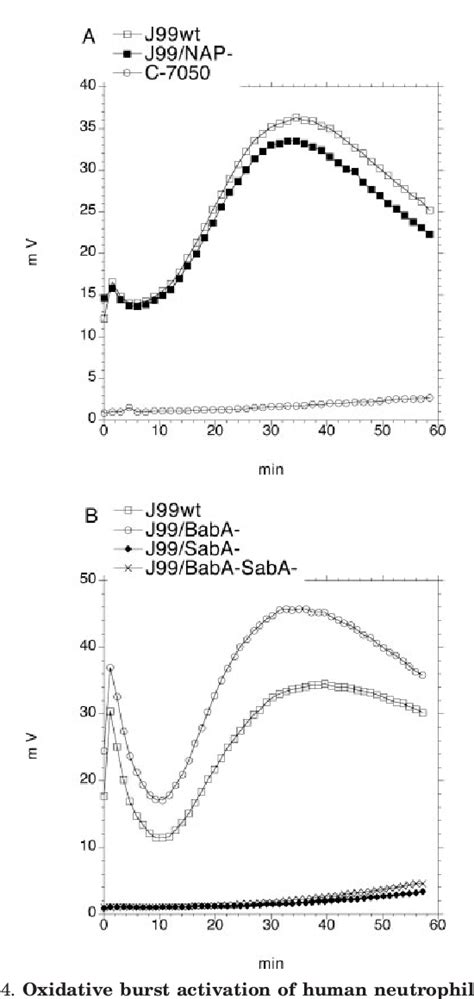 Figure 4 From The Sialic Acid Binding SabA Adhesin Of Helicobacter