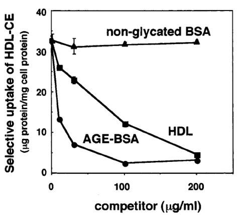 Age Bsa Suppresses The Selective Uptake Of Hdl Ce By Cho Sr Bi Cells