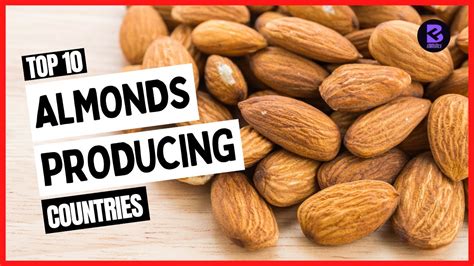 Top 10 Largest Almonds Producing Countries In The World 2021 Almond