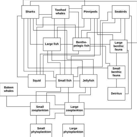 Nodes And Interactions In The Simplified Marine Ecosystem Model