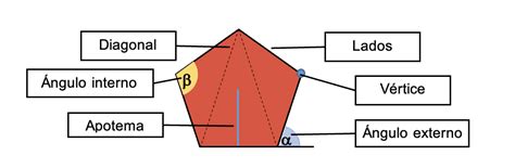 Pentágono Geometría ¿qué Es Características Y Ejercicios