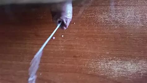 Sborro Free Solo Man Porn Video XHamster