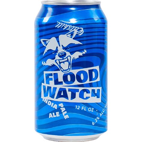 Floodwatch Ipa - Catskill Brewery - Buy Craft Beer Online - Half Time ...