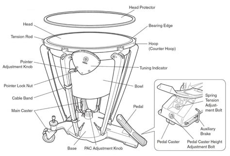 Timpani Tuesdays Anatomy Of Timpani