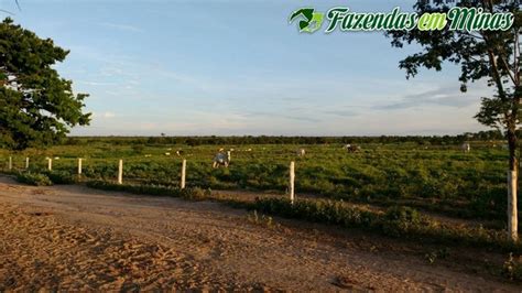 Fazenda Pista De Pouso Na Jaiba Fazendas Fazendas Em Minas