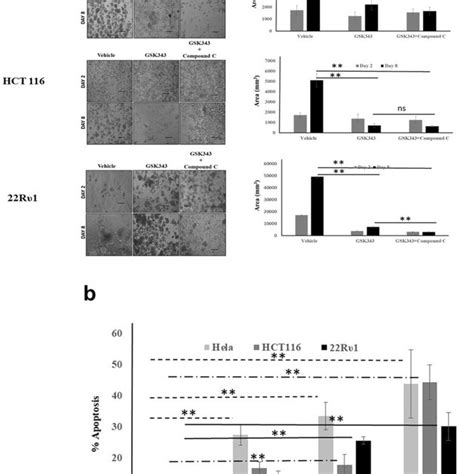 A Combination Of EZH2 And AMPK Inhibitor Synergize To Reduce