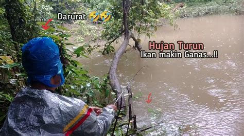 Hujan Turun Ikan Makin Mengganas Strike Demi Strike Tak Terhindarkan