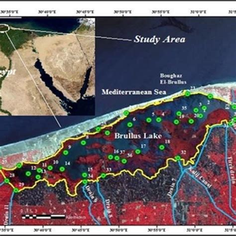 Map Of The Study Area Burullus Lake Showing Sampling Locations