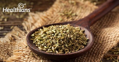 Surprising Health Benefits Of Fennel Seeds Saunf Healthians Blog