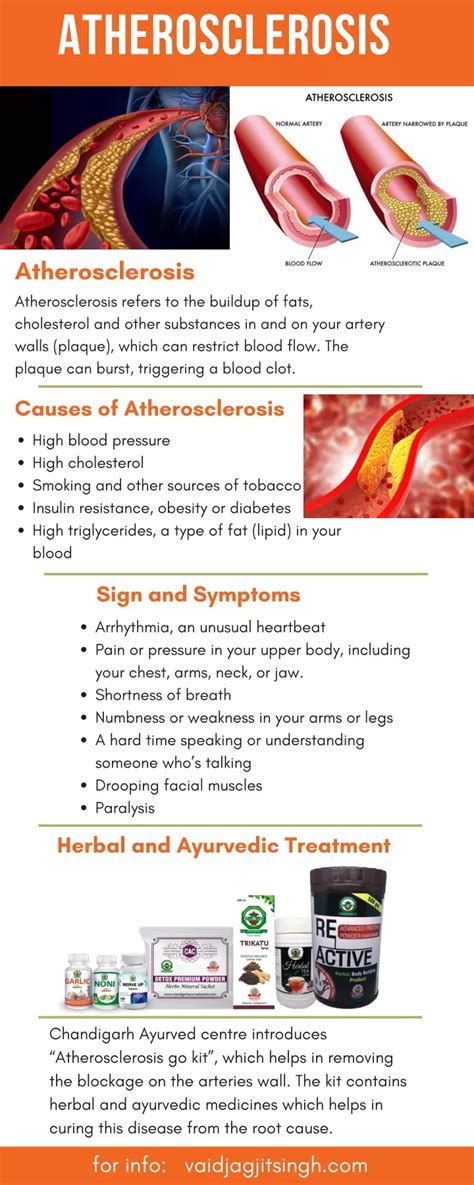 Ppt Atherosclerosis Causes Symptoms And Herbal Treatment Powerpoint