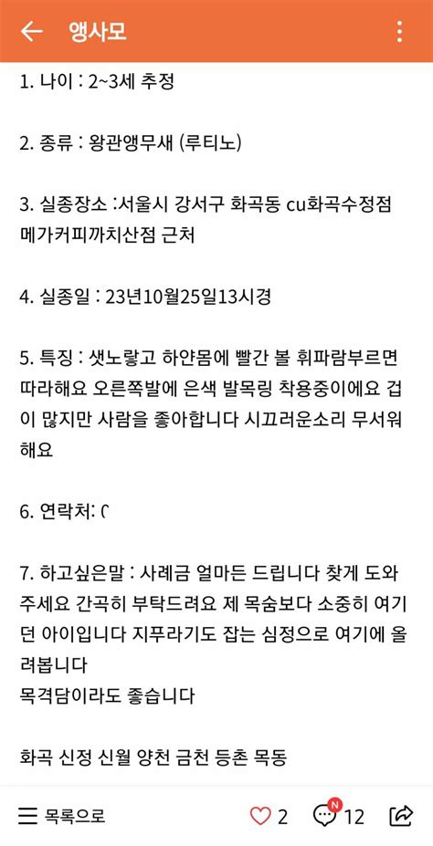 잡담 영등포 양평동 사는 익들아 밖에서 노란 앵무새 본 익 없을까ㅠㅠㅠ 인스티즈instiz 일상 카테고리