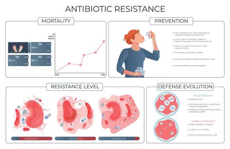 Antibiotic Resistance Infographic 29182905 Vector Art at Vecteezy