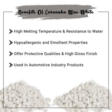 Buy White Carnauba Wax Pellets 100 Pure And Cosmetic Grade Us Bulk