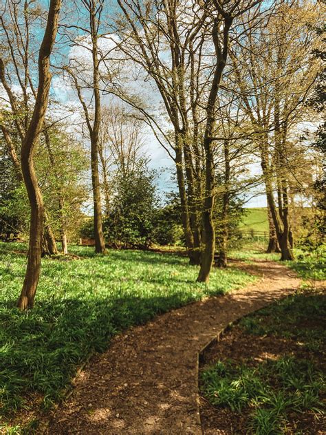 Walking Trails In Welwyn, Hertfordshire | Tewinbury
