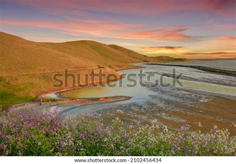 401 Coyote Hills Regional Park Images, Stock Photos & Vectors ...