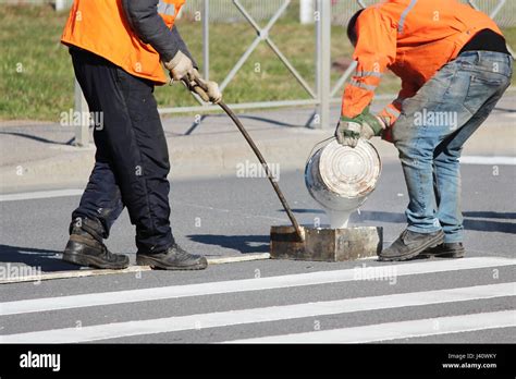 Workers Apply A Road Marking To The Pedestrian Crossing Zebra Stripe