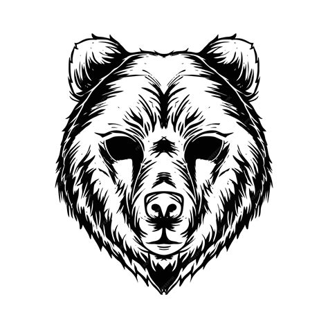 Fotos De Urso Desenho - 9