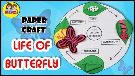 How To Make 3d Butterfly Life Cycle For Kids Butterfly Life Cycle