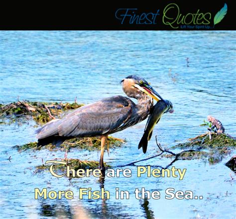 Fishermen Quotes. QuotesGram