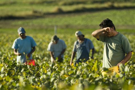 Watch Hidden In Plain Sight Labor Trafficking In Upstate New York