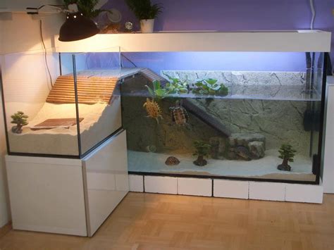 Photo idée déco pour aquarium tortue